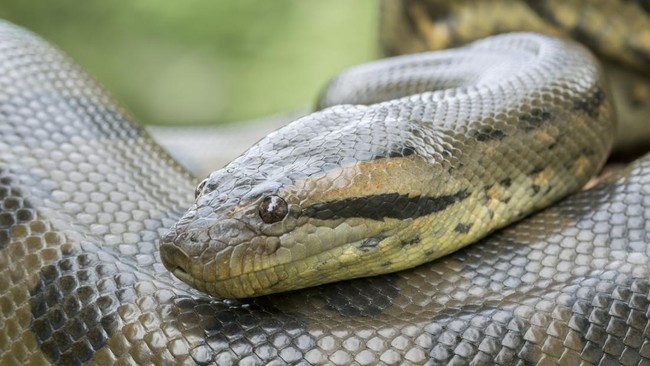 Clubnet Digital Clubnet Branding Identity Marketing