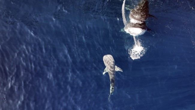 Clubnet Digital Clubnet Branding Identity Marketing