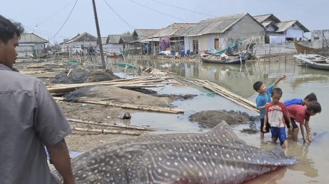 Clubnet Digital Clubnet Branding Identity Marketing