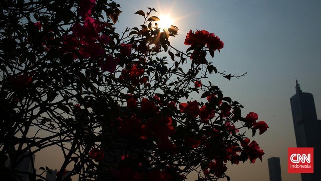 Clubnet Digital Clubnet Branding Identity Marketing